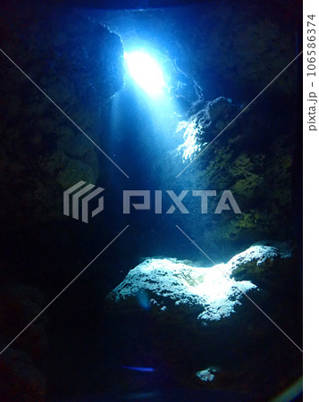 石垣島・美ら海海底の洞窟 106586374