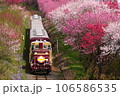 わたらせ渓谷鐵道と花桃 106586535