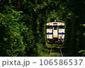 指宿枕崎線の緑のトンネル 106586537