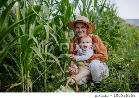 Portrait of female farmer with beautiful baby harvesting corn on the field. 106586568