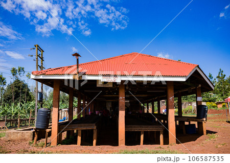 Coffee Beans Selection Shade Area In Kiambu County Kenya East Africa 106587535