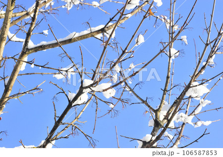 snow melt and the end of winter 106587853