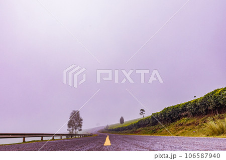 tea plantation landscape with blue sky cloud Tea Leaves Farm In Kiambu County Kenya East Africa 106587940