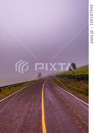 tea plantation landscape with blue sky cloud Tea Leaves Farm In Kiambu County Kenya East Africa 106587949