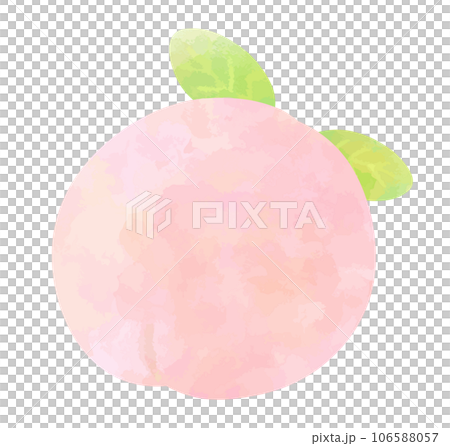 水彩手描き風のシンプルな桃 106588057