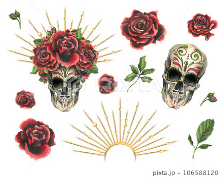 Human skull with an ornament, red roses in a golden crown with beads. Hand drawn watercolor illustration for Halloween, day of the dead, Dia de los muertos. Set of elements on a white background 106588120