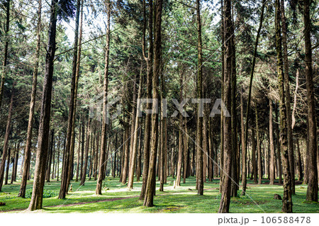 Kinale Forest is located 60kms from Nairobi along the Nairobi- Naivasha highway, Kinungi route. The forest has several largely unexplored tourist attractions including Thiririka Water Falls, Theta Dam Kinale Forest is located 60kms from Nairobi along the Nairobi- Naivasha highway, Kinungi route. The forest has several largely unexplored tourist attractions including Thiririka Water Falls, Theta Dam 106588478