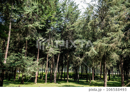Kinale Forest is located 60kms from Nairobi along the Nairobi- Naivasha highway, Kinungi route. The forest has several largely unexplored tourist attractions including Thiririka Water Falls, Theta Dam 106588493