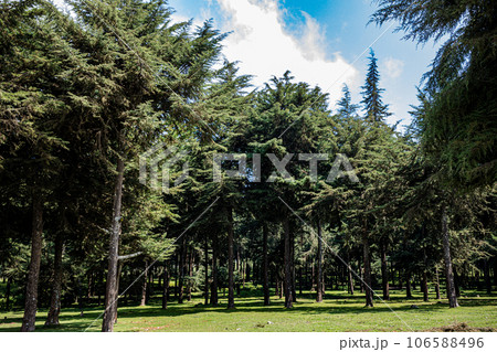 Kinale Forest is located 60kms from Nairobi along the Nairobi- Naivasha highway, Kinungi route. The forest has several largely unexplored tourist attractions including Thiririka Water Falls, Theta Dam Kinale Forest is located 60kms from Nairobi along the Nairobi- Naivasha highway, Kinungi route. The forest has several largely unexplored tourist attractions including Thiririka Water Falls, Theta Dam 106588496