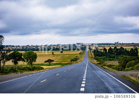 Wheat Farm Plantations Along Narok Ntulele Highway Landscapes Great Rift Valley Kenya East Africa 106589316