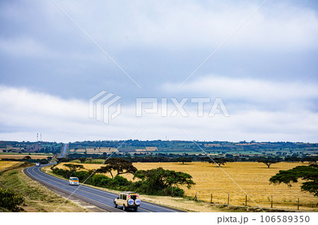 Wheat Farm Plantations Along Narok Ntulele Highway Landscapes Great Rift Valley Kenya East Africa Wheat Farm Plantations Along Narok Ntulele Highway Landscapes Great Rift Valley Kenya East Africa 106589350