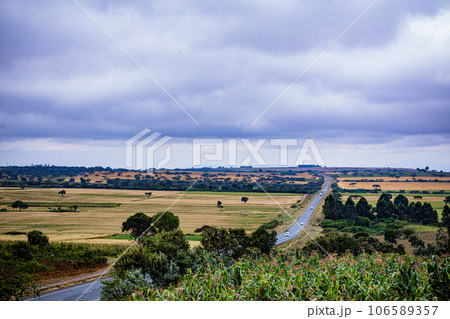 Wheat Farm Plantations Along Narok Ntulele Highway Landscapes Great Rift Valley Kenya East Africa Wheat Farm Plantations Along Narok Ntulele Highway Landscapes Great Rift Valley Kenya East Africa 106589357