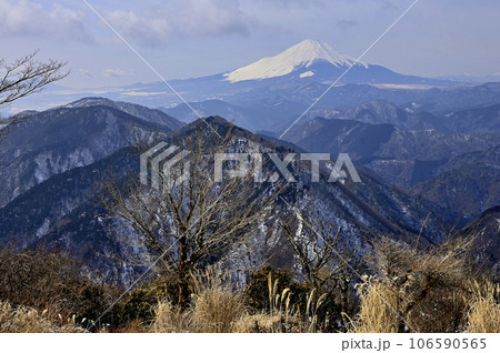 冬の丹沢　雪の鍋割山山頂より望む富士山 106590565