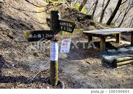丹沢の峠道 雨山峠 丹沢の峠道 雨山峠 106590605