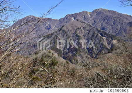 丹沢の茅ノ木棚沢ノ頭より望む丹沢主脈の山並 丹沢の茅ノ木棚沢ノ頭より望む丹沢主脈の山並 106590608