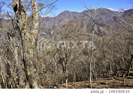 丹沢の鉄砲沢ノ頭山頂の森より望む丹沢主脈 106590610