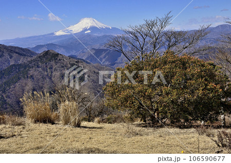 丹沢の鍋割山山頂より望む富士山 丹沢の鍋割山山頂より望む富士山 106590677