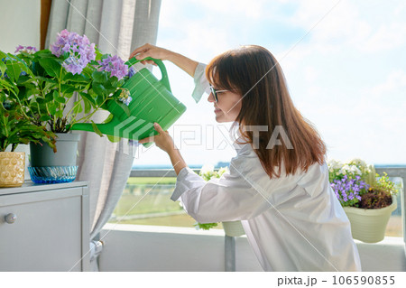 Woman watering potted plants from watering can on outdoor terrace at home Woman watering potted plants from watering can on outdoor terrace at home 106590855