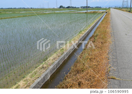 農業用水路 106590995