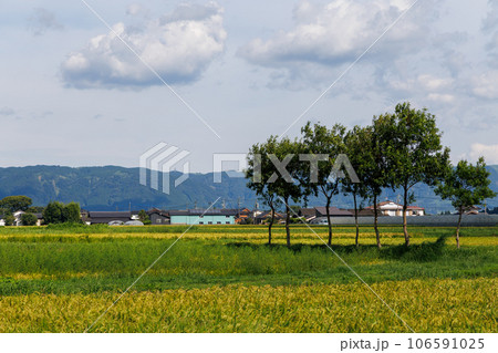 熊本県阿蘇市の田園風景 熊本県阿蘇市の田園風景 106591025