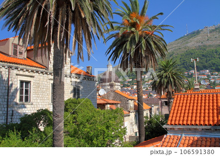 アドリア海の真珠と言われるクロアチアの世界文化遺産ドブロブニク　城壁から望む旧市街の街並み 106591380