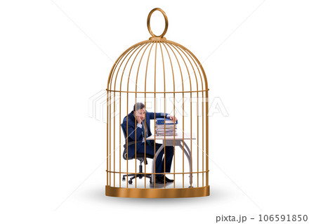 Businessman caught in the cage 106591850