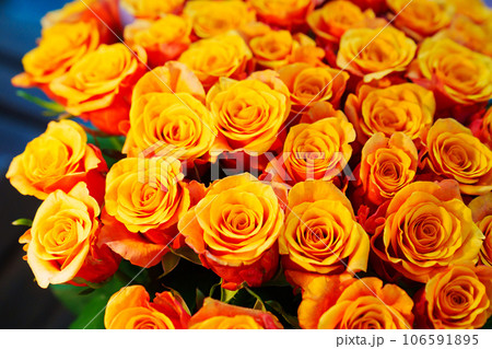 Large and beautiful bouquet of orange yellow roses. Large and beautiful bouquet of orange yellow roses. 106591895