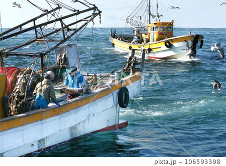 漁の風景 106593398