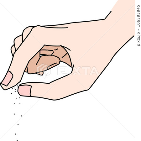 少々の調味料 106593945