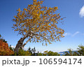 駆け足でやって来る高原の秋 106594174