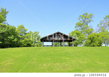 新緑の公園 106594418