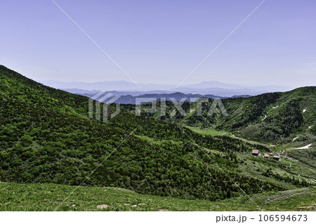 高山植物が咲き誇る初夏の白山 106594673
