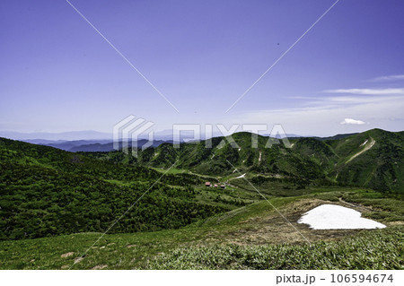 高山植物が咲き誇る初夏の白山 高山植物が咲き誇る初夏の白山 106594674