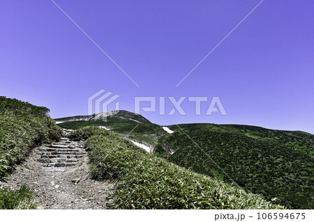 高山植物が咲き誇る初夏の白山 高山植物が咲き誇る初夏の白山 106594675