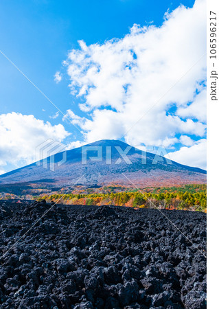 焼走り熔岩流と岩手山（秋） 106596217