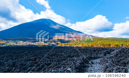 焼走り熔岩流と岩手山（秋） 106596240