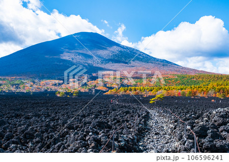 焼走り熔岩流と岩手山（秋） 106596241