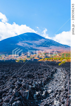 焼走り熔岩流と岩手山（秋） 106596243