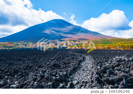 焼走り熔岩流と岩手山(秋) 焼走り熔岩流と岩手山(秋) 106596246