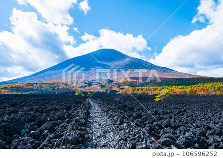 焼走り熔岩流と岩手山（秋） 106596252