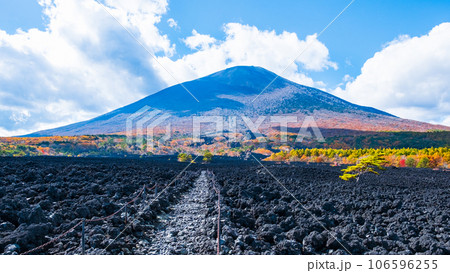 焼走り熔岩流と岩手山（秋） 106596255