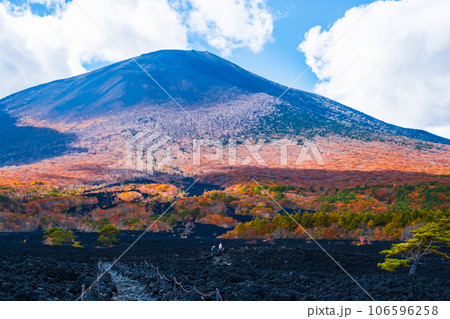 焼走り熔岩流と岩手山（秋） 106596258