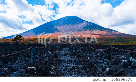 焼走り熔岩流と岩手山（秋） 106596276