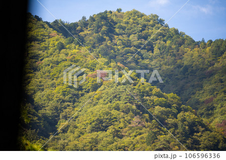 緑の山 106596336