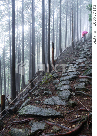 石畳の熊野古道(縦) 石畳の熊野古道(縦) 106597183