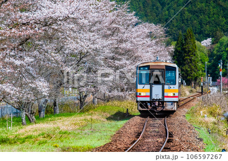 姫新線 桜満開の月田駅 姫新線 桜満開の月田駅 106597267