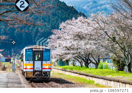 姫新線　桜満開の月田駅 106597271