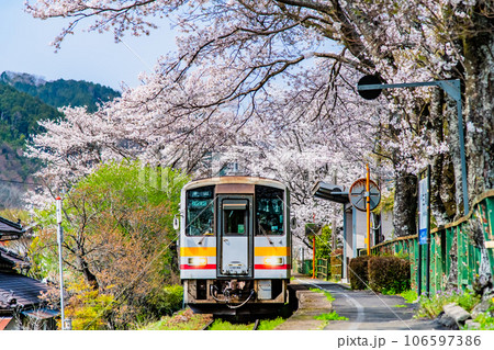 因美線　三浦駅の桜のトンネル 106597386