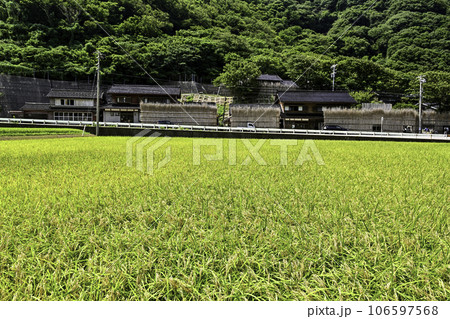 間垣の里上大沢の夏景色 106597568