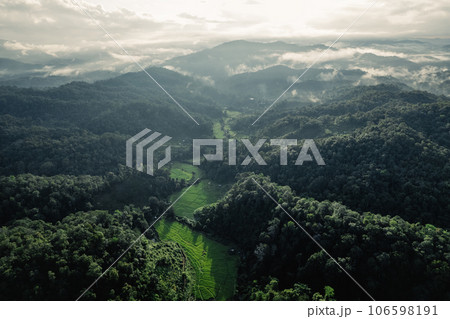 Rice terraces in the forest at a rural village 106598191